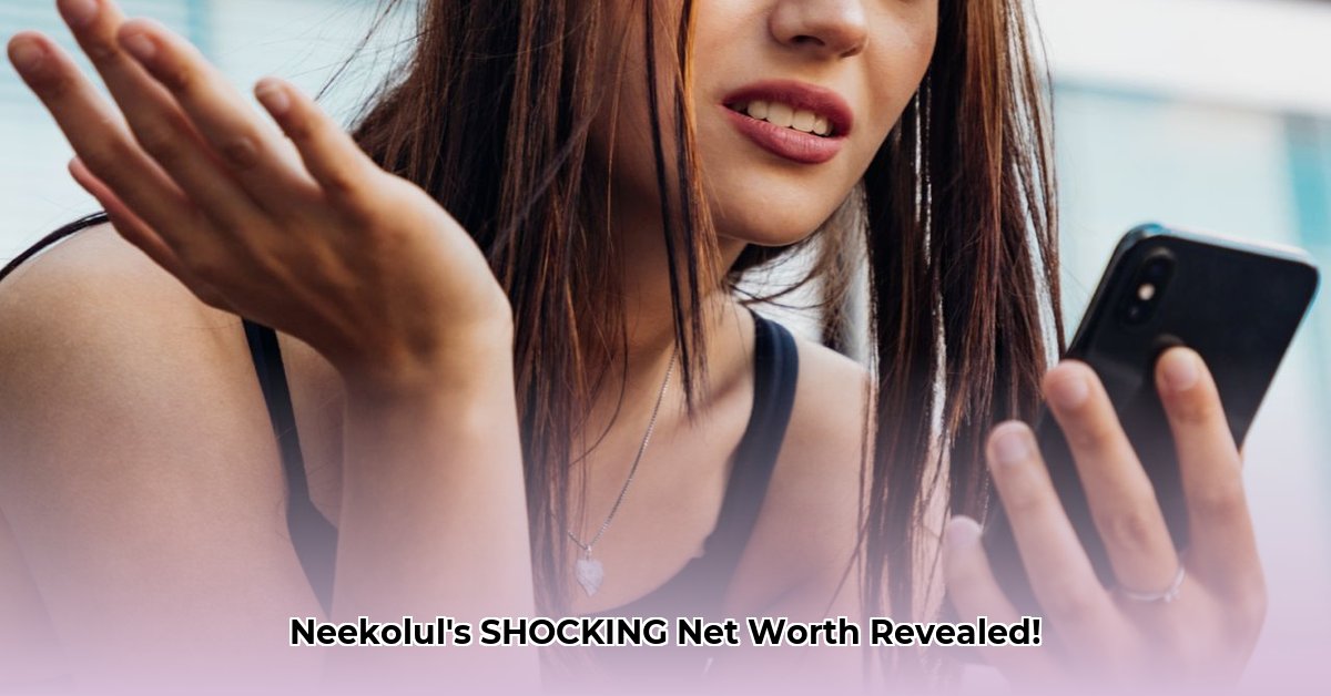 neekolul-net-worth